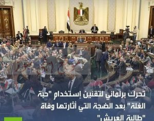 تحرك برلماني لتقنين إستخدام "حبة الغلة" بعد الضجة التي أثارتها وفاة "طالبة العريش"